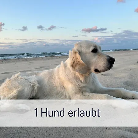 2 App Duenengarten Lieblingsplatz Wg11 Apartamento Ostseebad Kühlungsborn