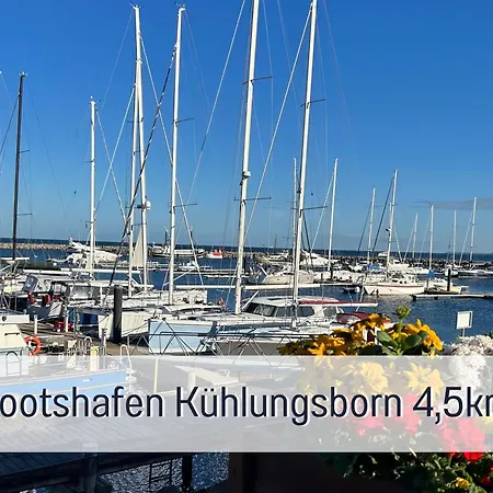 2 App Duenengarten Lieblingsplatz Wg11 Apartment